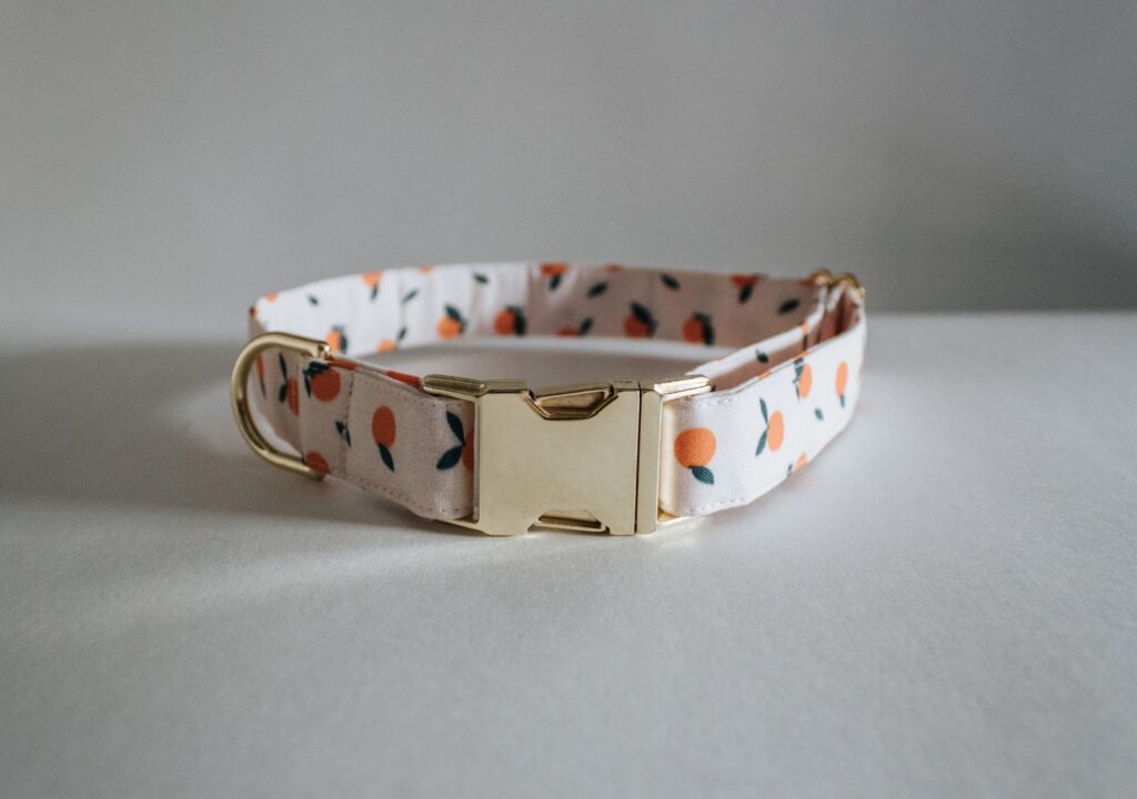 Clementine Collar